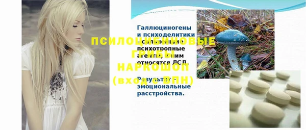 мяу мяу мука Абинск