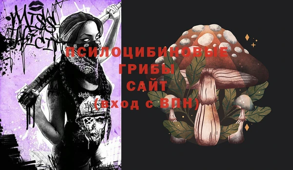 мяу мяу мука Абинск